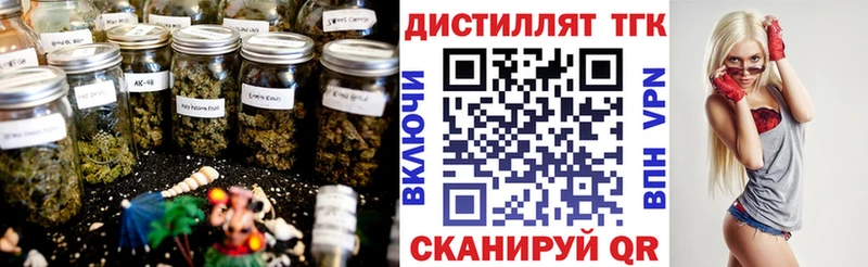 наркотики  Михайловск  ТГК концентрат 
