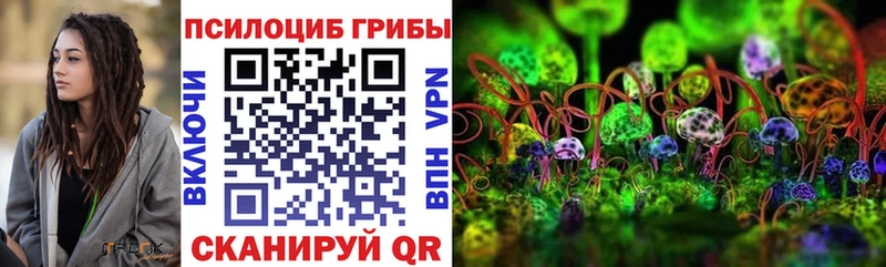 Псилоцибиновые грибы MAGIC MUSHROOMS  где можно купить   Михайловск 